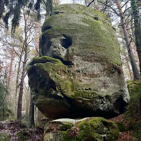 Lägenhet - Jizerske Hory Plavy